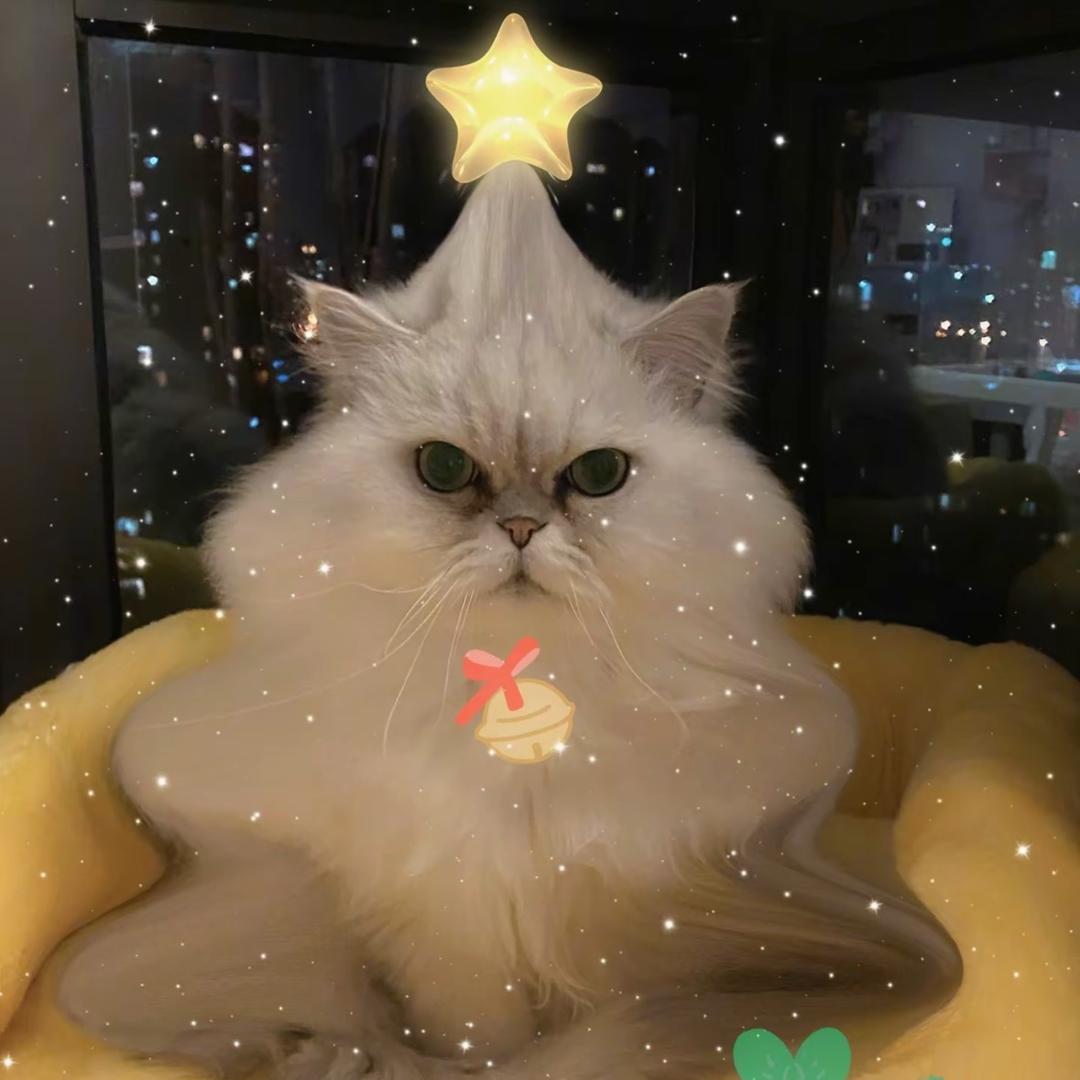 远在咫尺