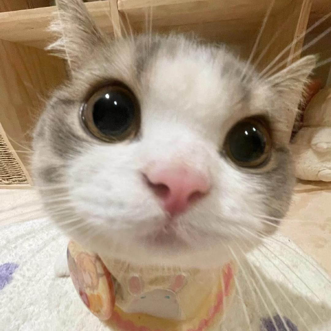 叫我螺蛳粉大王