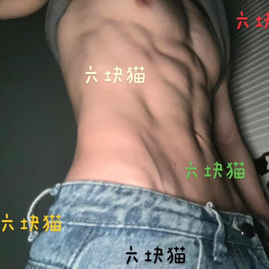 六块猫