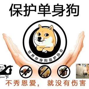 勿忘我