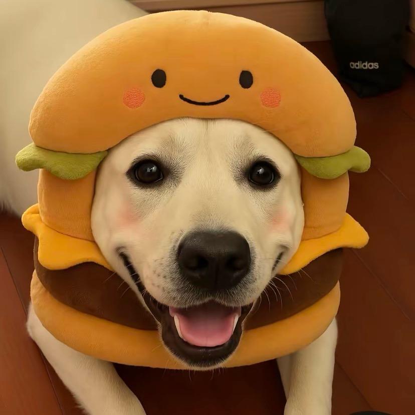 🥙8XL の大壮