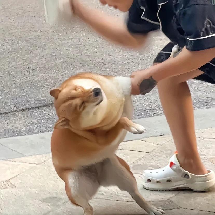 南波万