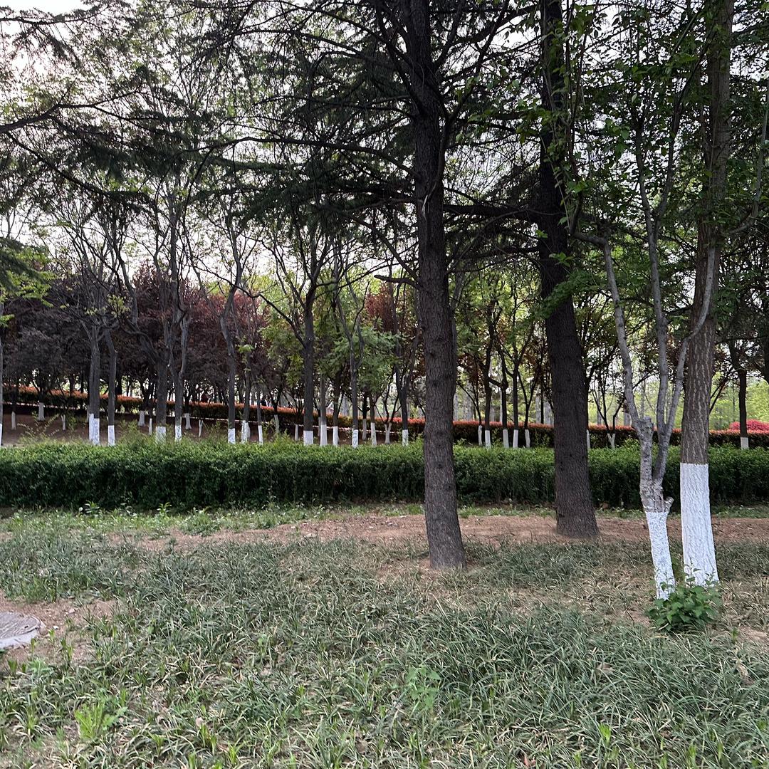 世界欠我一个你！