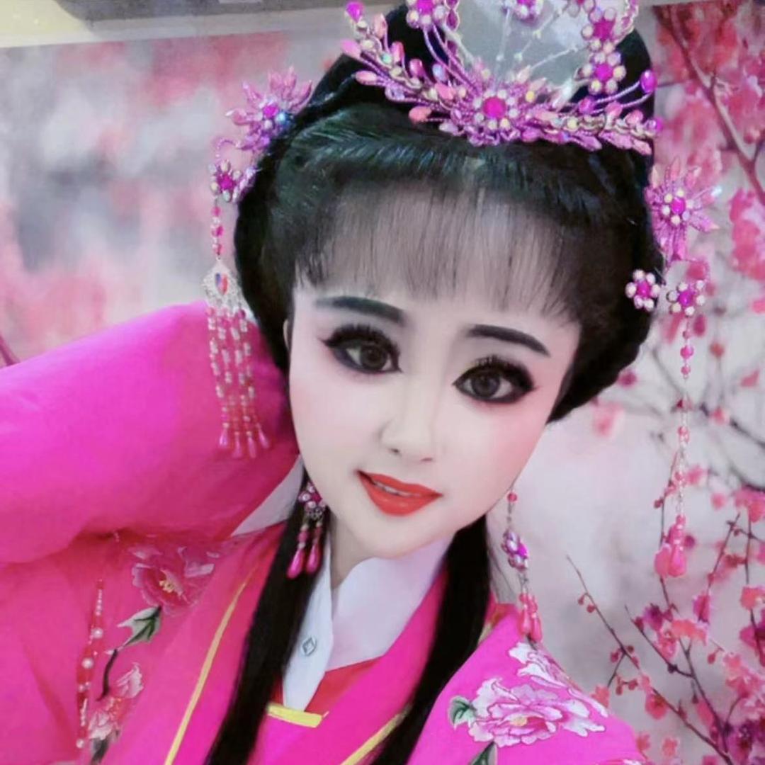 庐剧💘小紫涵（停播中，小号直播）