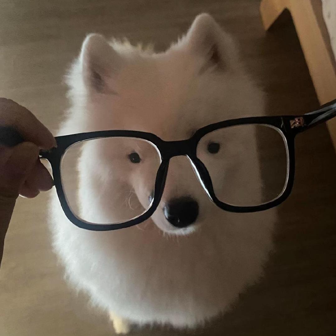 你行你也叫楨楨