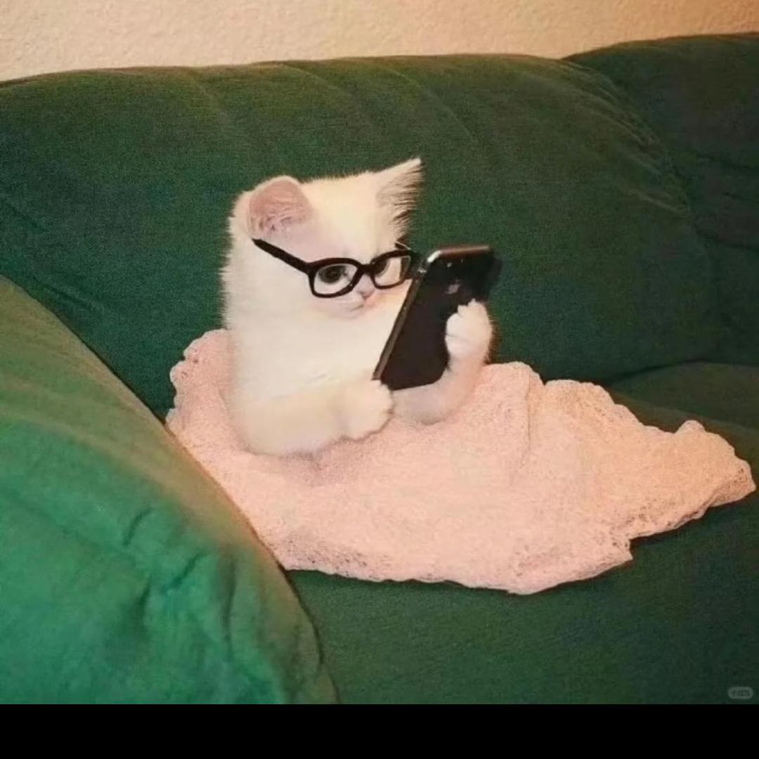 ha.