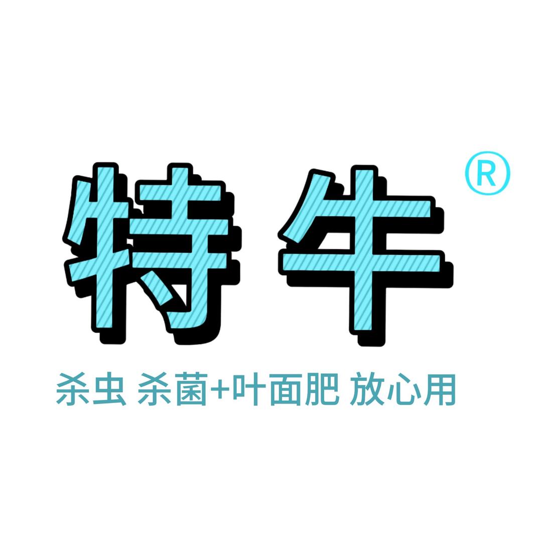 小金哥讲桉树