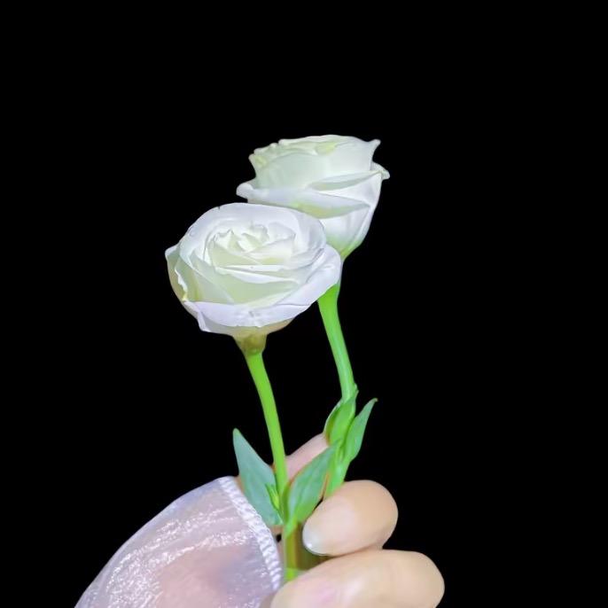 婷子