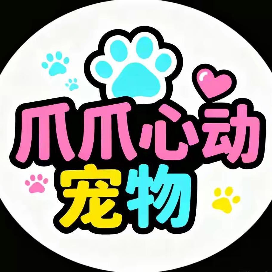 爪爪心动宠物严选