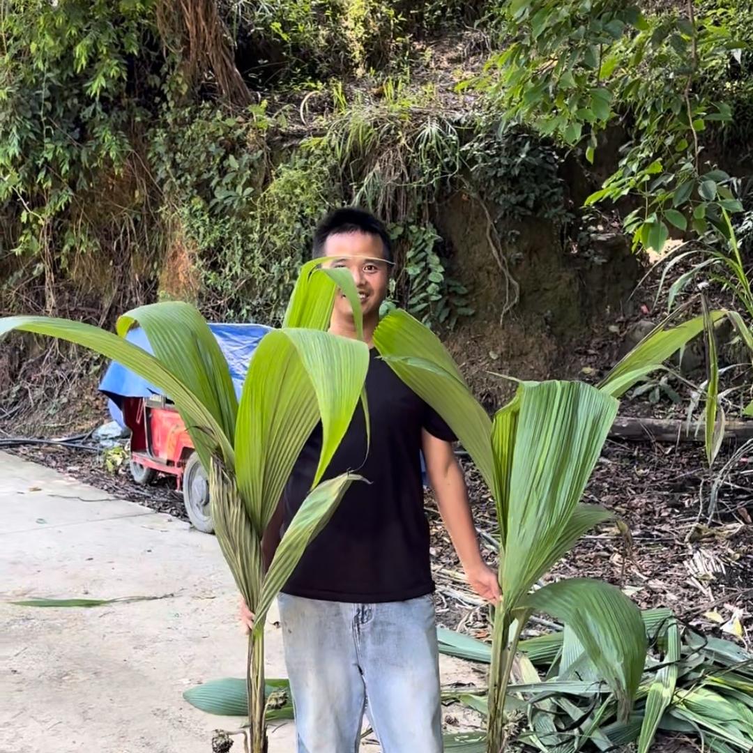 关岭杰玥农品坊