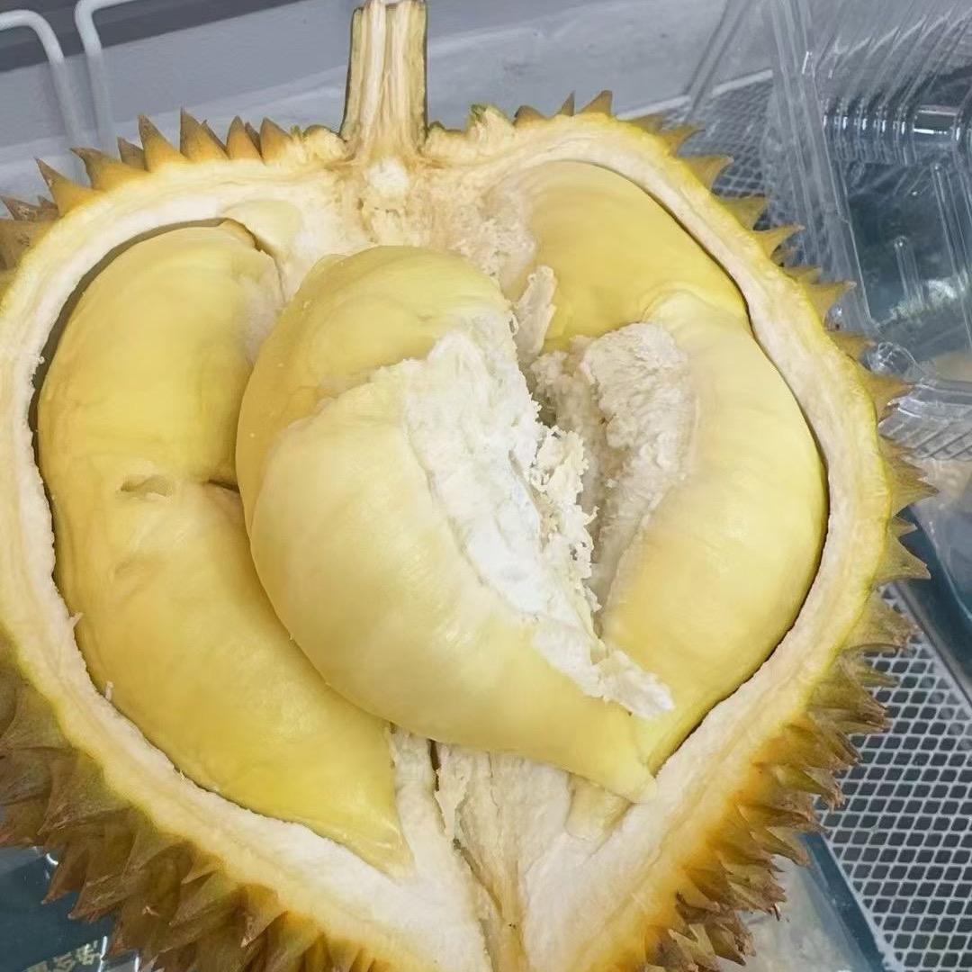 凤城榴莲哥🔥
