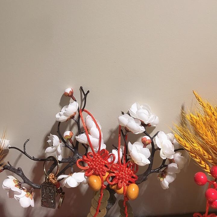 衹墨禅缘先生
