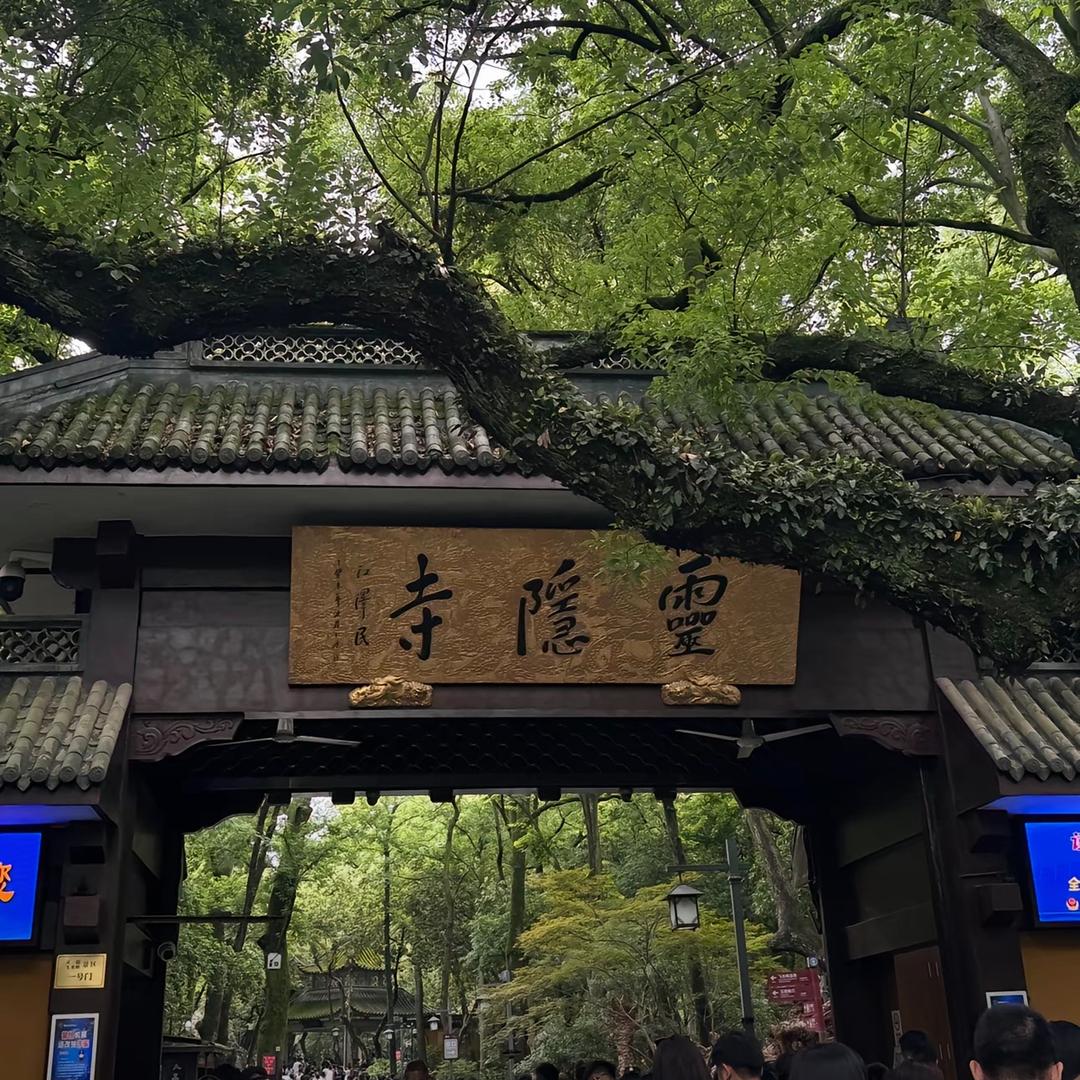 🌈这个杀手不太冷