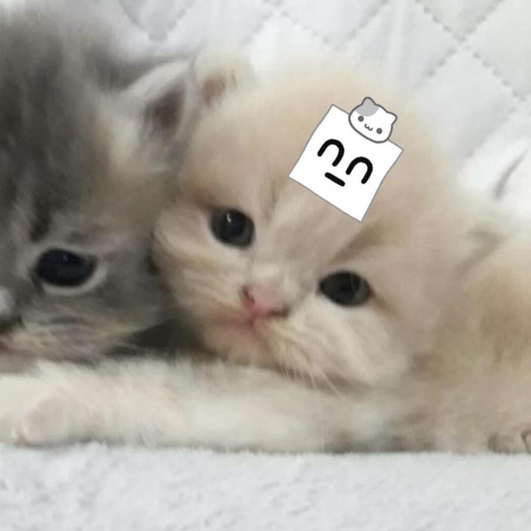 如果困是天赋zᶻ