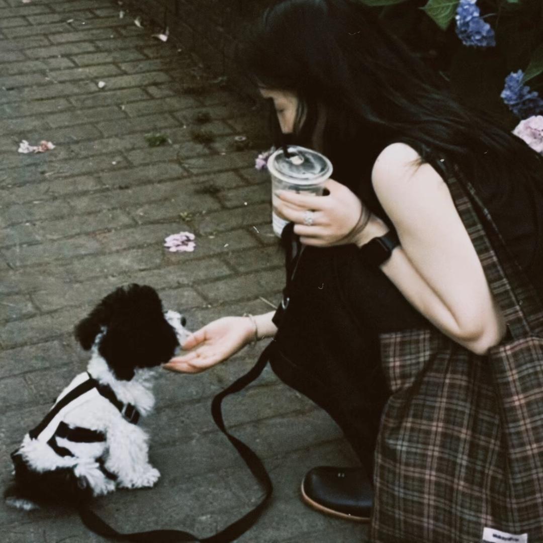 美女不可以低头ᵤ