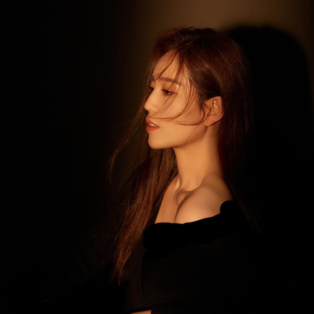 大美鲨鱼裤