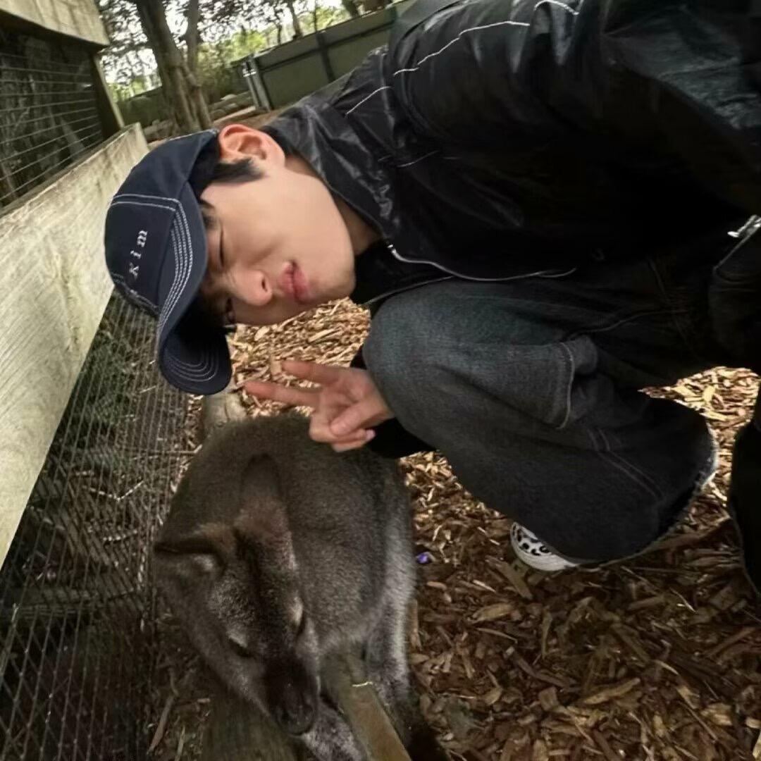 🐑🐑l