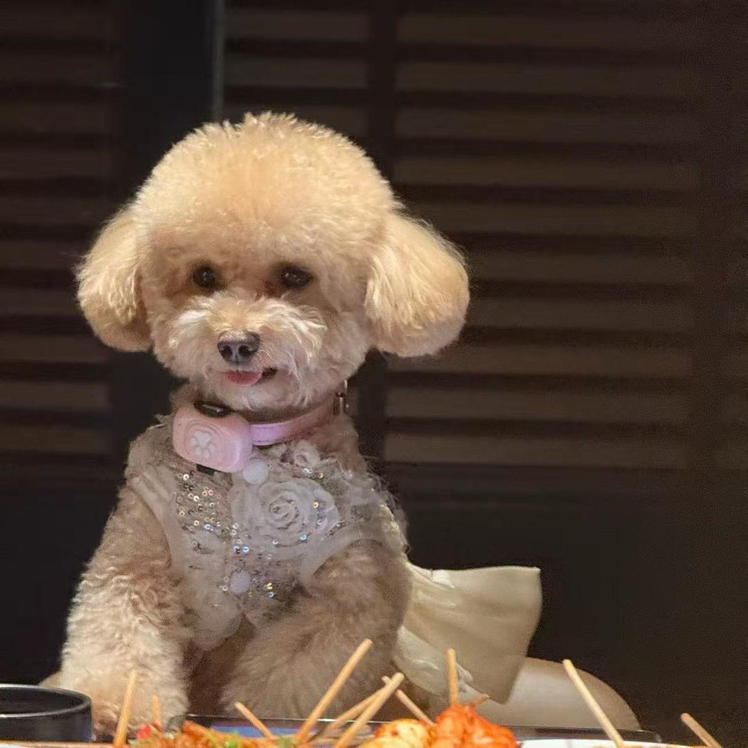 小胡球球