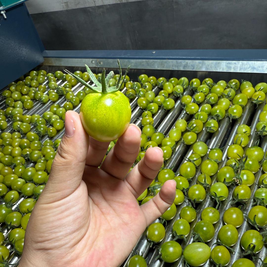 寿光英楠果蔬有限公司