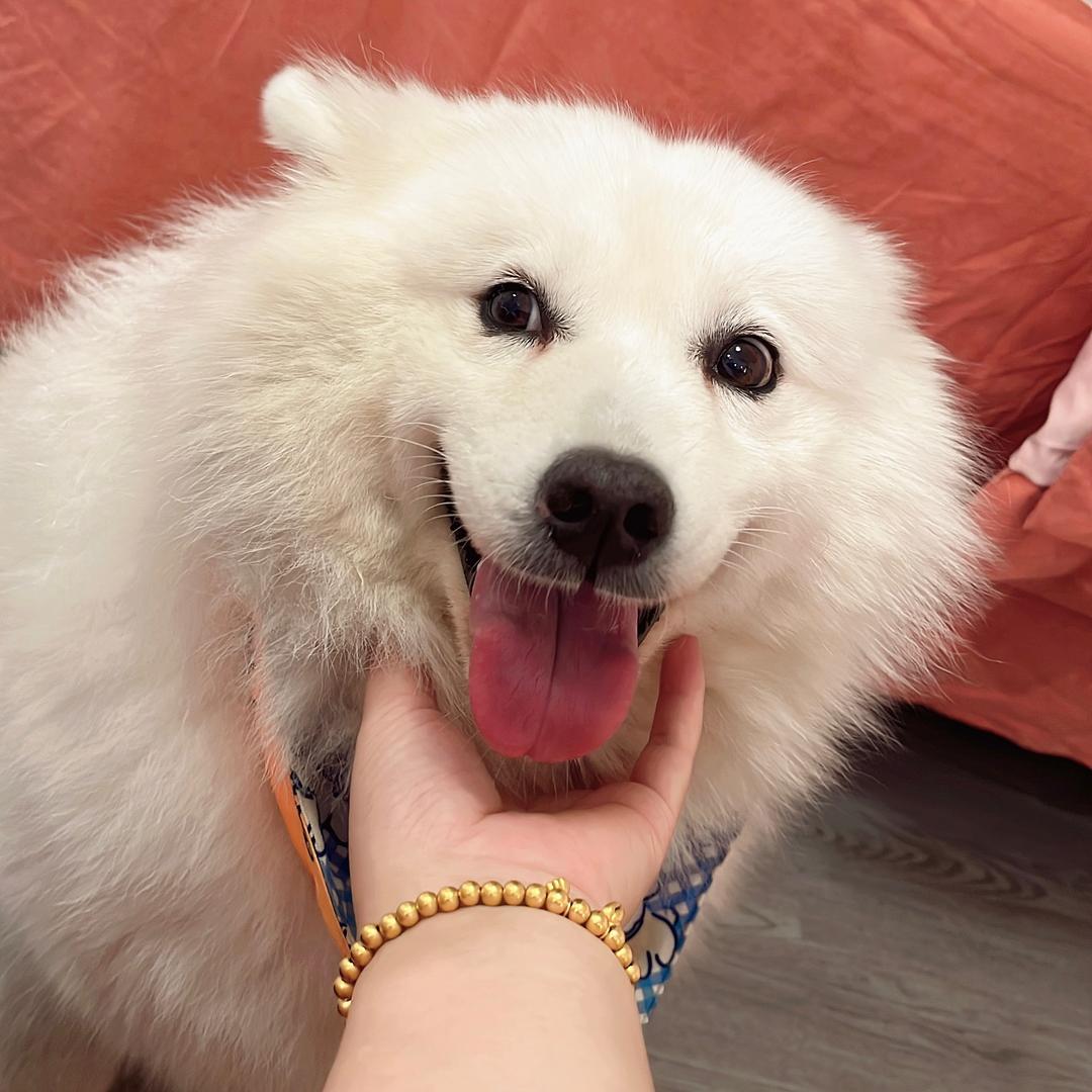 乐莹玲🥰