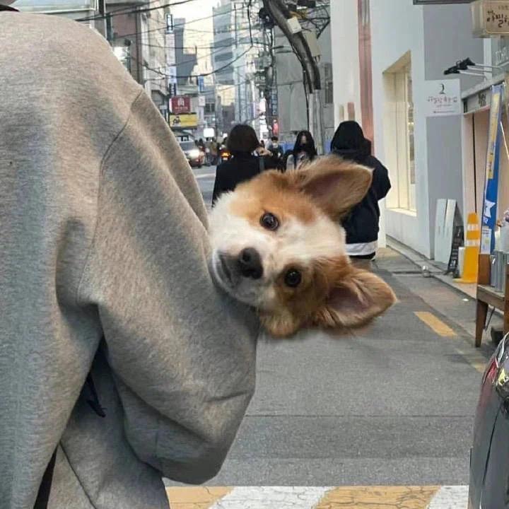 你总这样