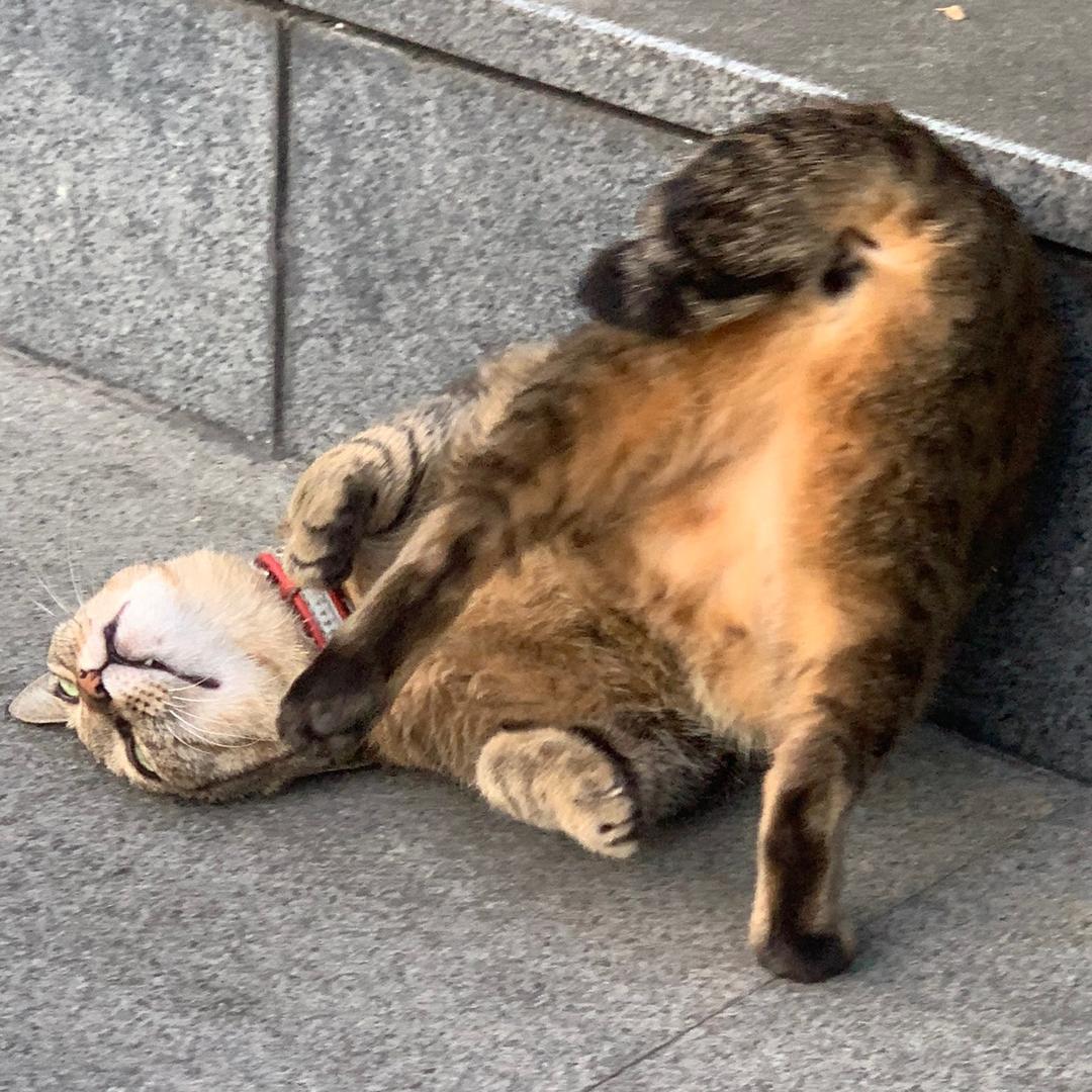 明日也是清爽的一天