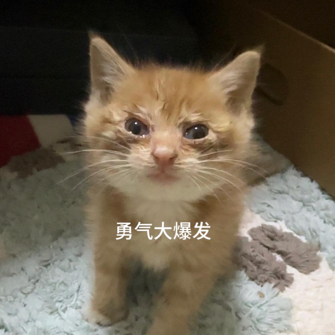 勇气大爆发