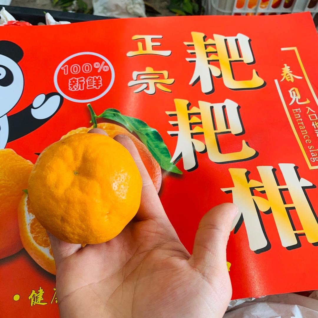 产地水果供应代办