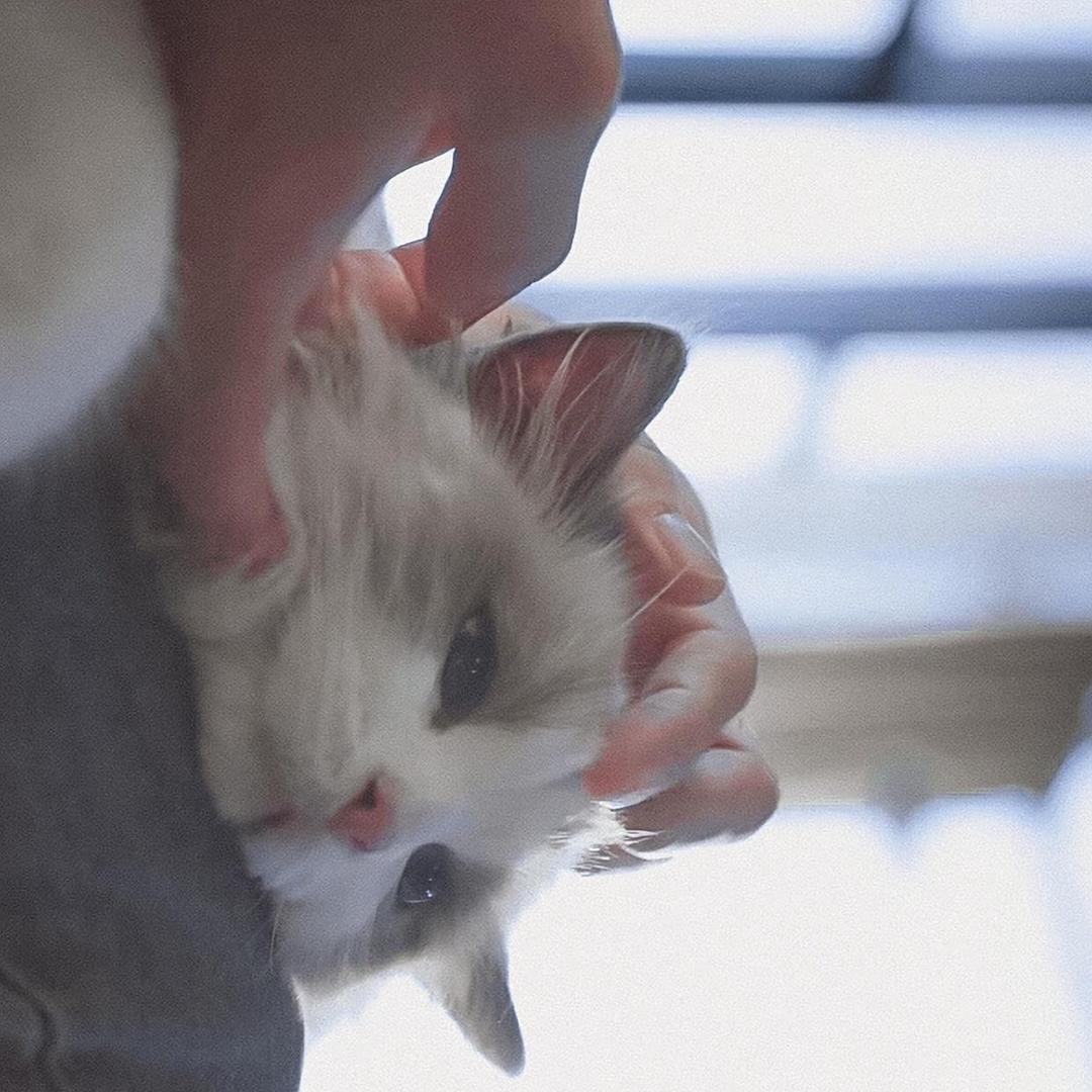 打个大西瓜_