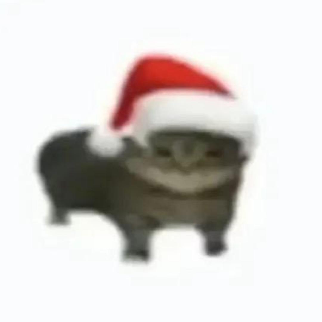 鼠鼠