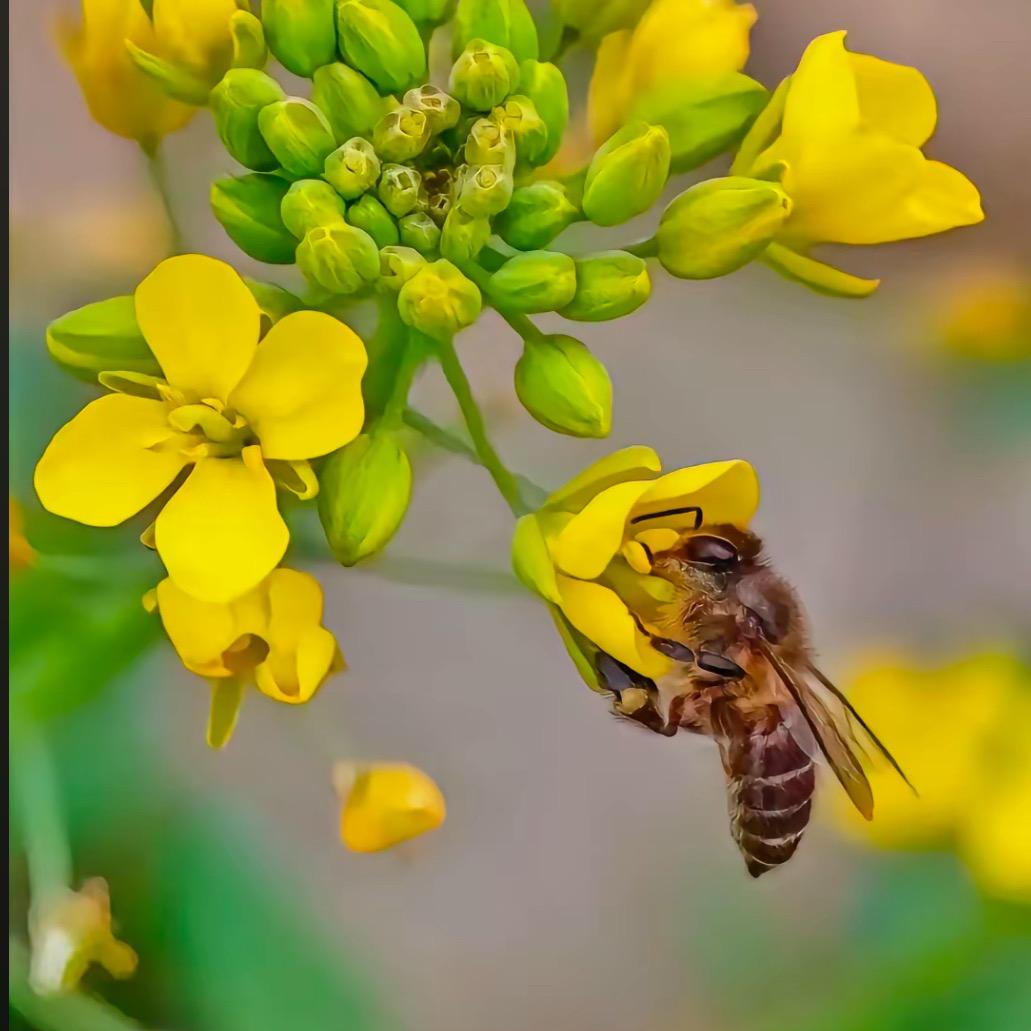 柳州农村小时候的味道