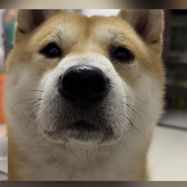 日常生活