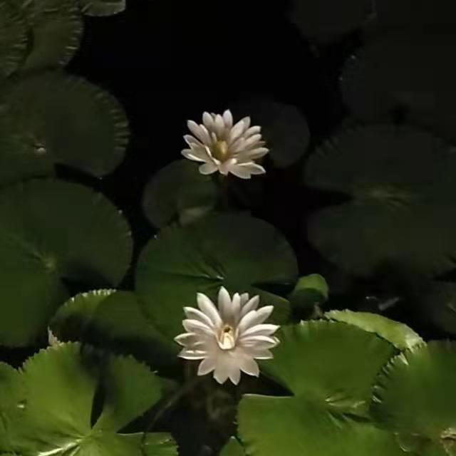😀☺️