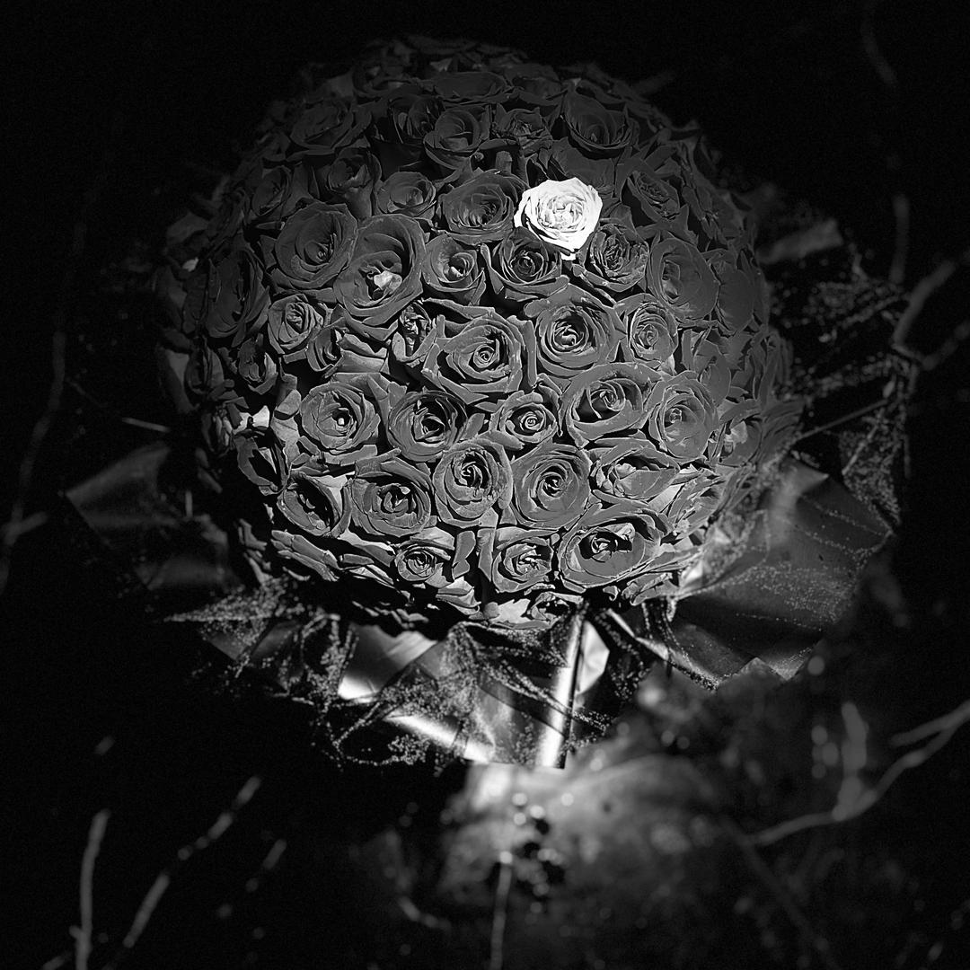 小女人🐬（拒绝私聊）