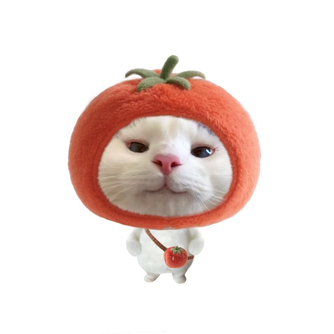 耍帅被抢拼好饭