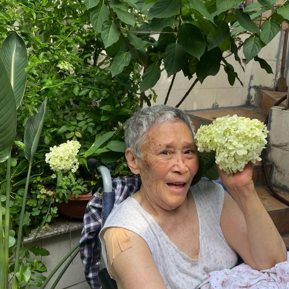 唐婆婆
