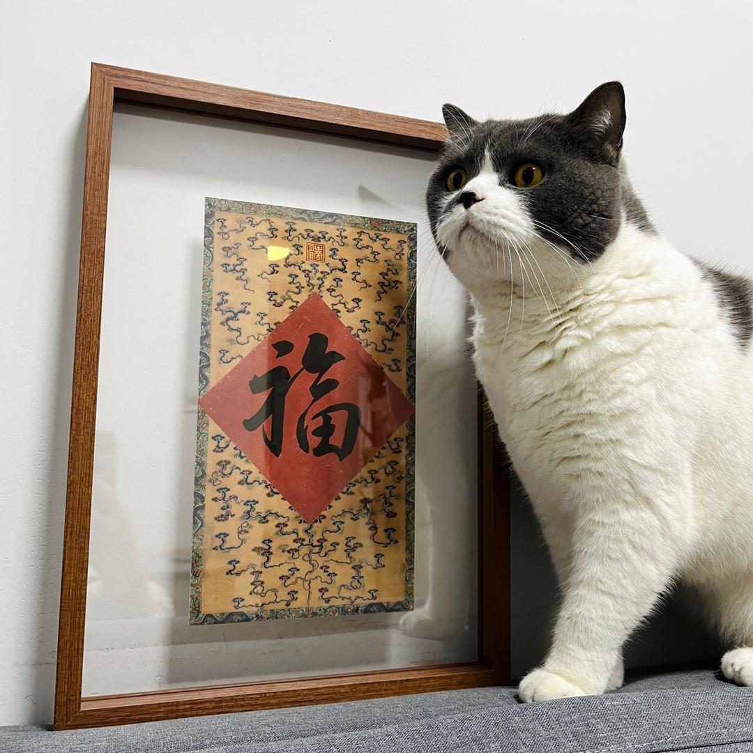 斑斑的快乐日记