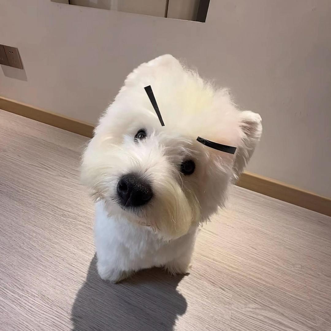 Dai.
