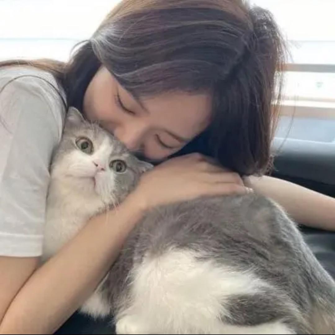 _楊楊子°