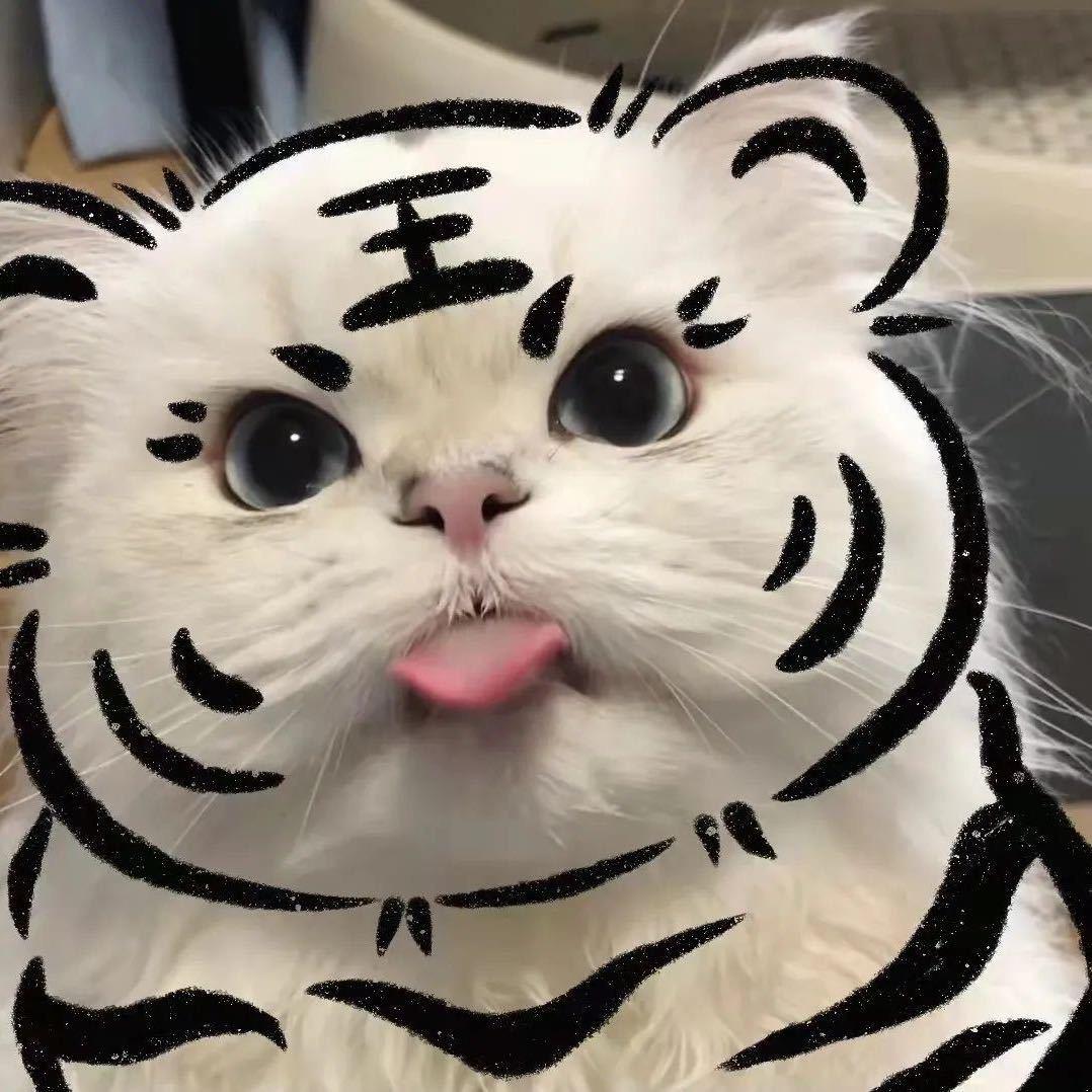 🐯小脑斧🐯