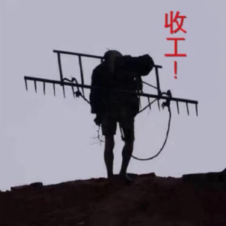 光头莫