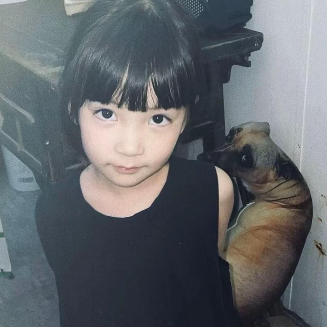 燕子说想去南方走一走