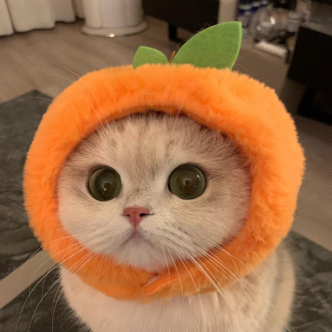 了了
