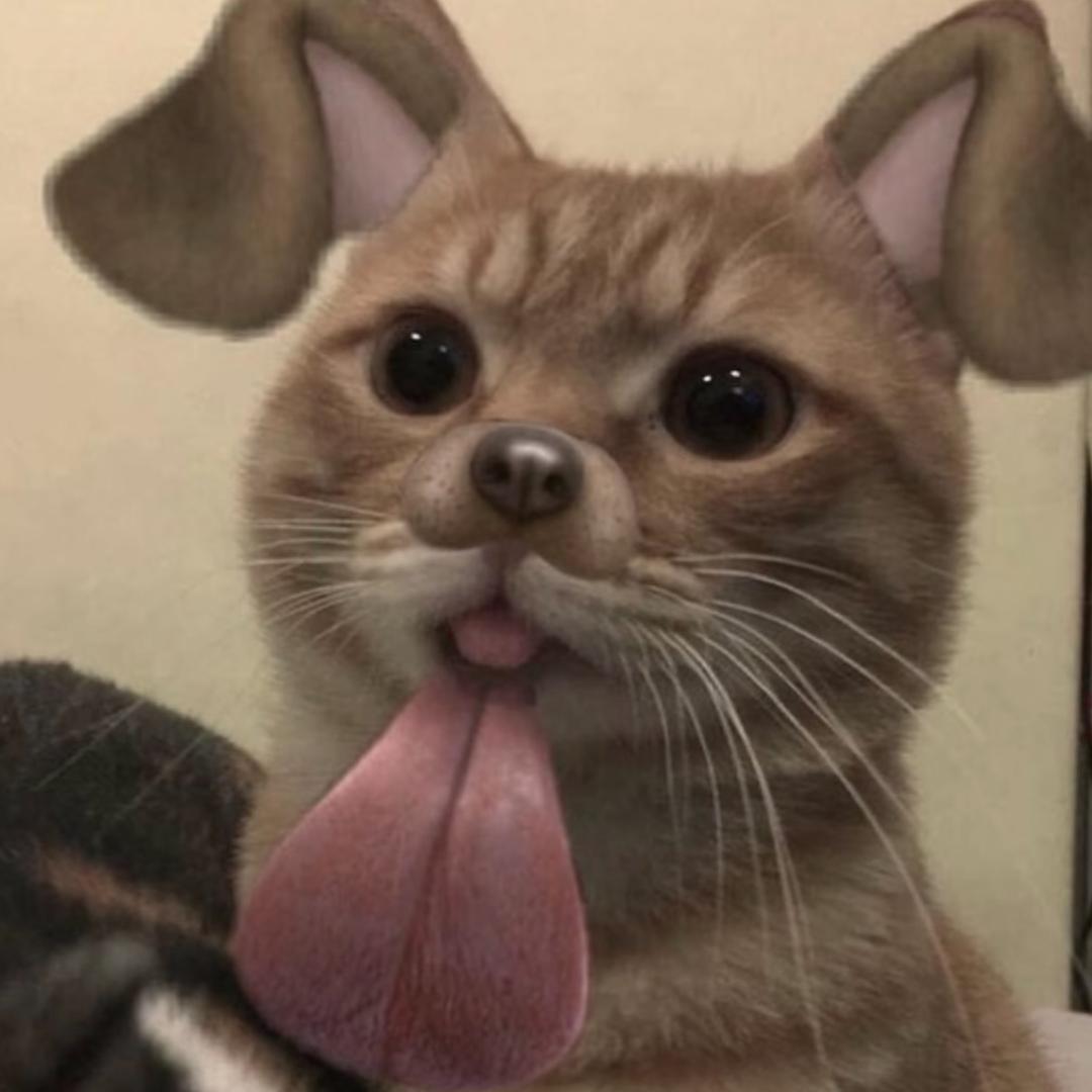 哭也没用