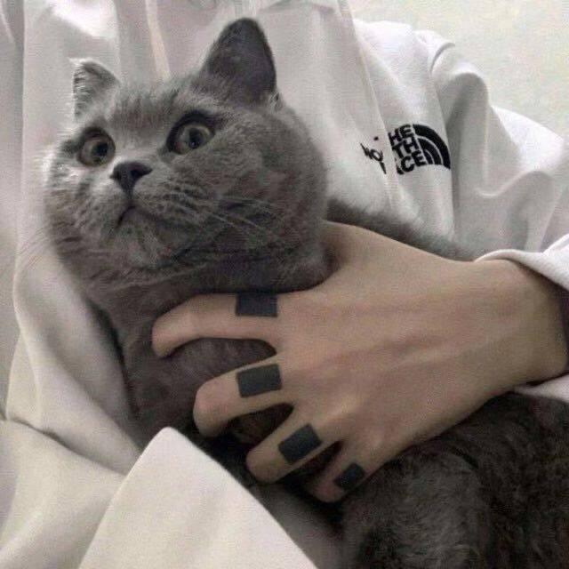 归宿