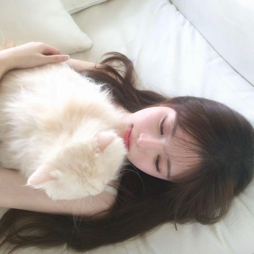季节雨🐾