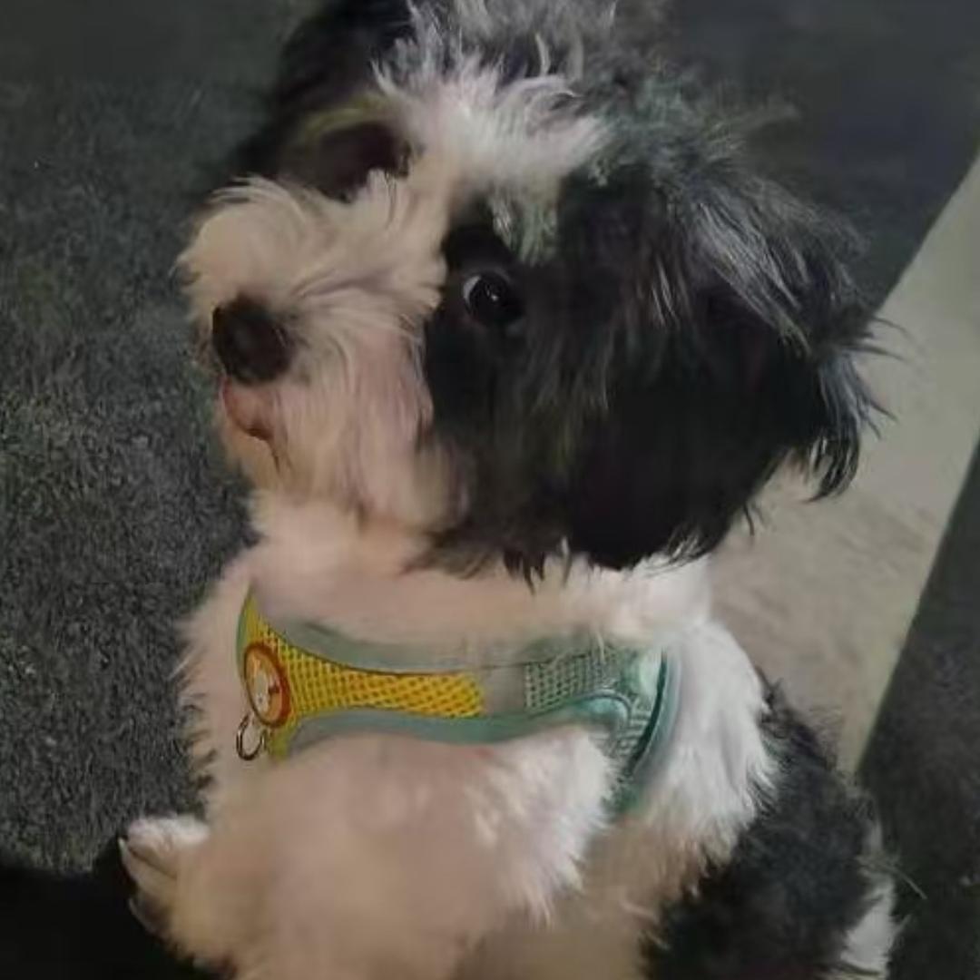 @🥀半颗糖💔甜到伤*ꦿ᭄࿐