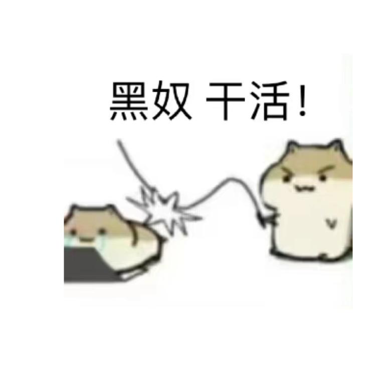 髙奢代言人