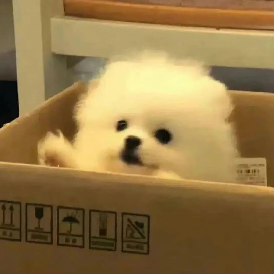 小岂子