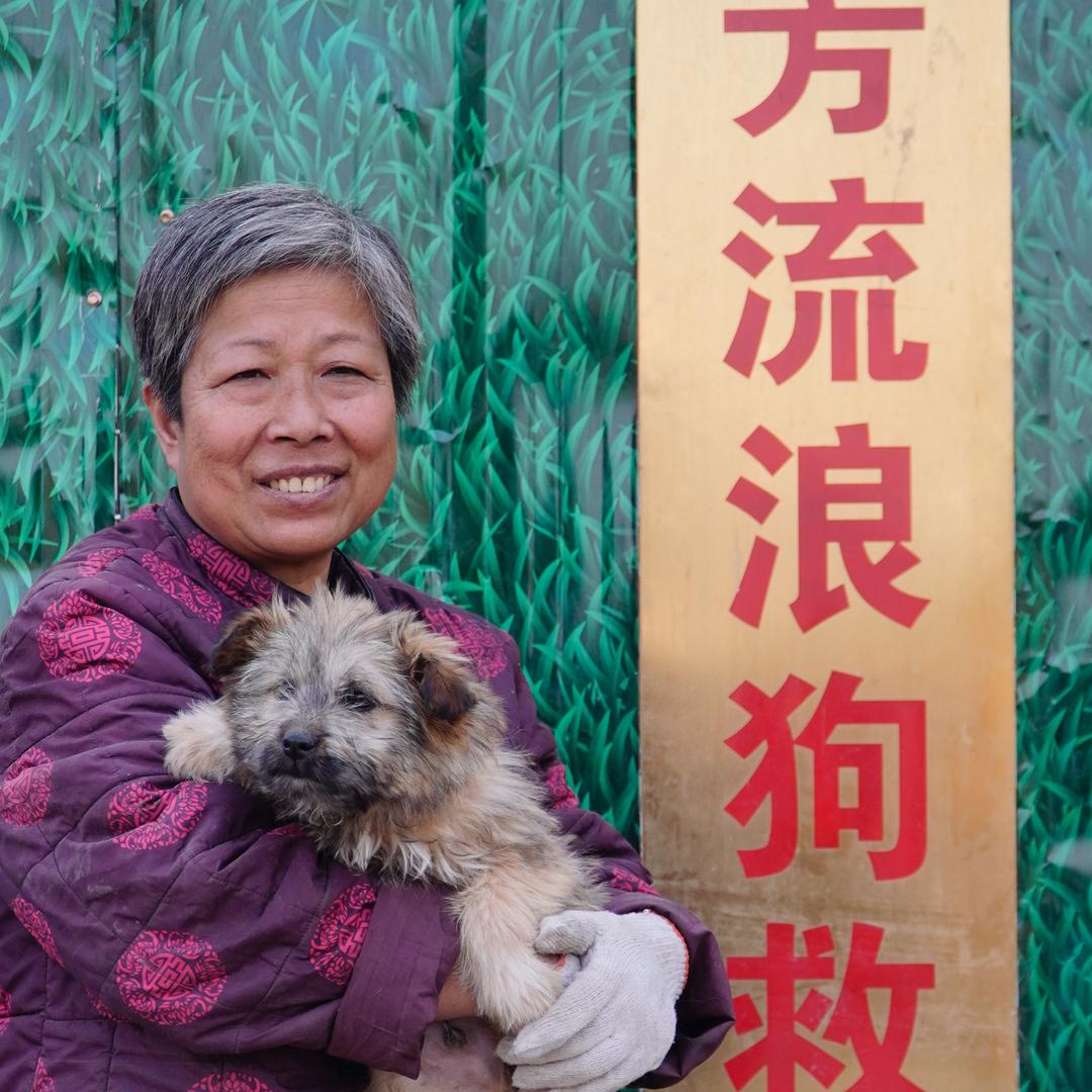 芳姐的小院